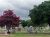 Llano City Cemetery - Llano County, Texas