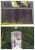 Antioch Cemetery - Skinner, Polley