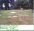 McFaddin Cemetery - TF Smith Homestead