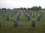 Houston National Cemetery
