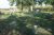 Breckenridge Cemetery
