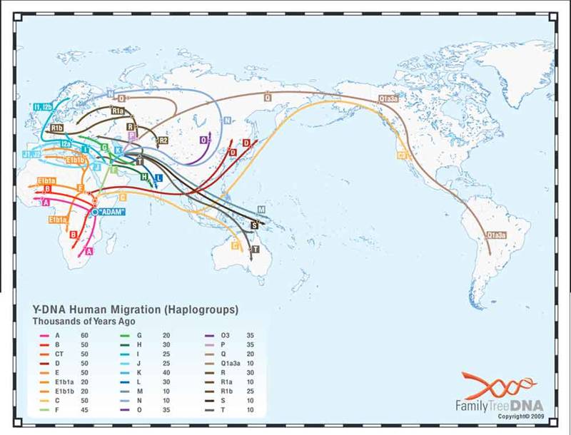 migration-map.jpg