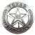 Texas Ranger Alonzo William Allee (I32505)